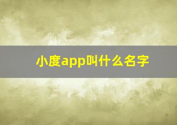 小度app叫什么名字