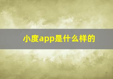 小度app是什么样的