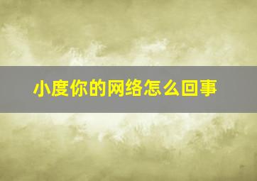 小度你的网络怎么回事