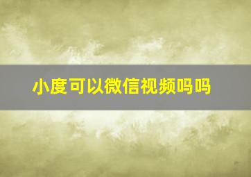 小度可以微信视频吗吗