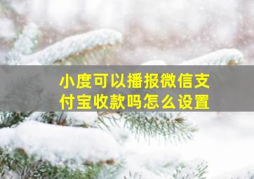 小度可以播报微信支付宝收款吗怎么设置