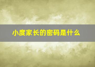 小度家长的密码是什么