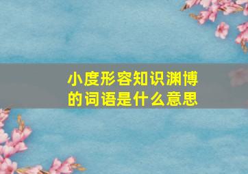 小度形容知识渊博的词语是什么意思