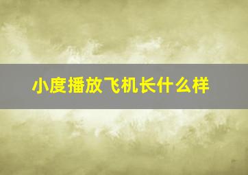 小度播放飞机长什么样