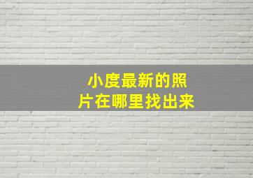 小度最新的照片在哪里找出来