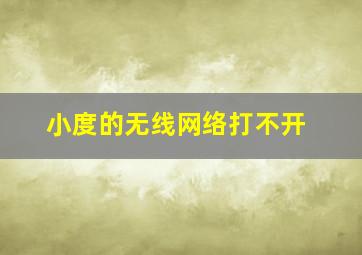 小度的无线网络打不开