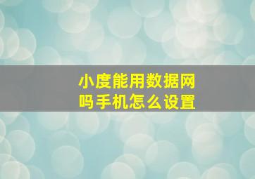 小度能用数据网吗手机怎么设置