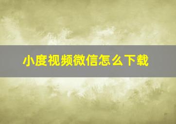 小度视频微信怎么下载