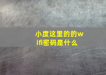 小度这里的的wifi密码是什么