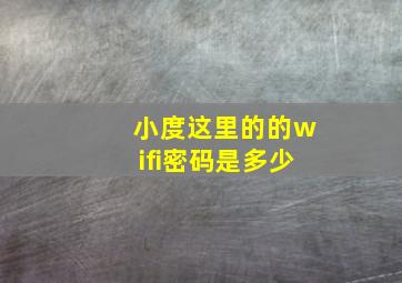 小度这里的的wifi密码是多少