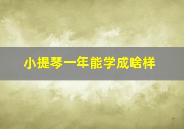 小提琴一年能学成啥样