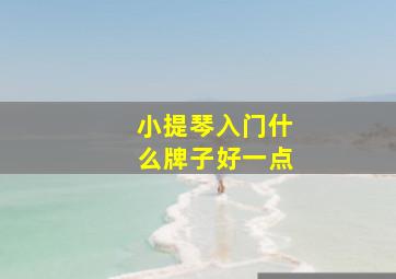 小提琴入门什么牌子好一点