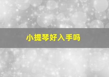 小提琴好入手吗