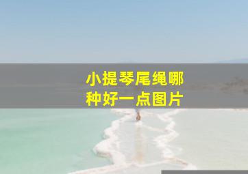 小提琴尾绳哪种好一点图片