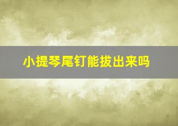 小提琴尾钉能拔出来吗