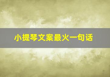 小提琴文案最火一句话