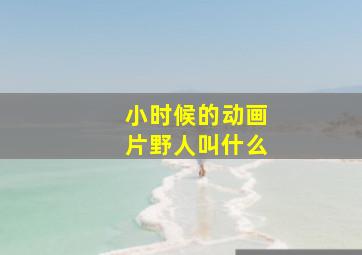 小时候的动画片野人叫什么