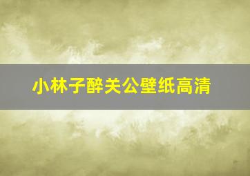 小林子醉关公壁纸高清