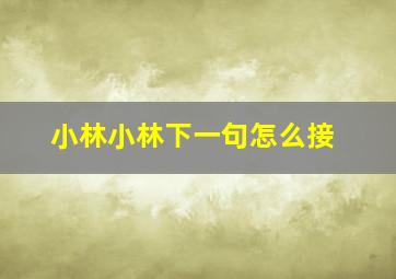 小林小林下一句怎么接