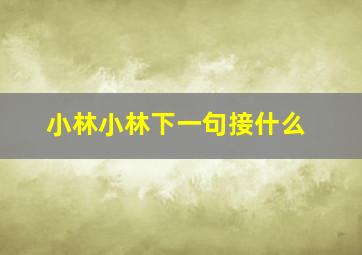 小林小林下一句接什么