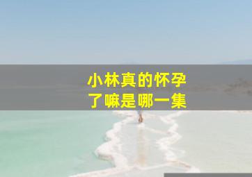 小林真的怀孕了嘛是哪一集