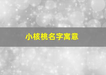 小核桃名字寓意