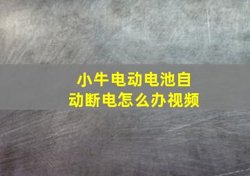 小牛电动电池自动断电怎么办视频