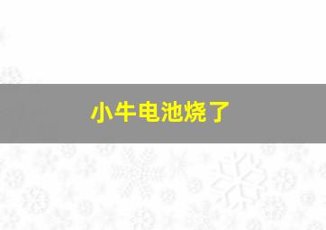 小牛电池烧了