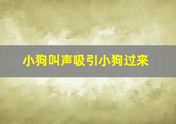 小狗叫声吸引小狗过来