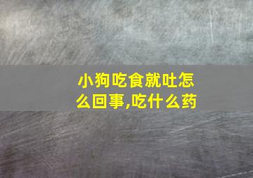 小狗吃食就吐怎么回事,吃什么药