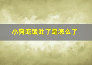 小狗吃饭吐了是怎么了