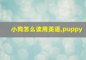 小狗怎么读用英语,puppy