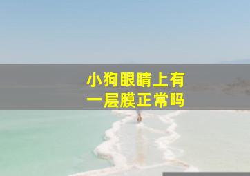 小狗眼睛上有一层膜正常吗