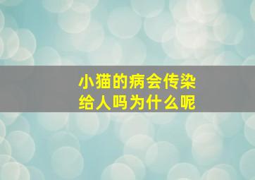 小猫的病会传染给人吗为什么呢