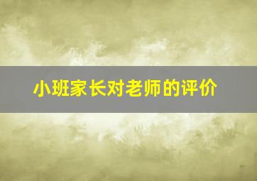 小班家长对老师的评价