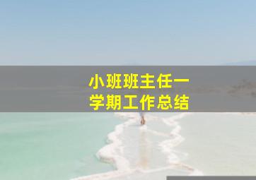 小班班主任一学期工作总结