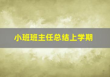 小班班主任总结上学期