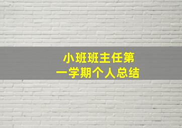 小班班主任第一学期个人总结