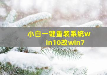 小白一键重装系统win10改win7