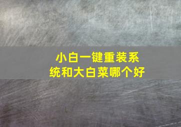 小白一键重装系统和大白菜哪个好