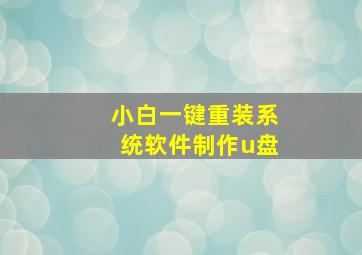 小白一键重装系统软件制作u盘