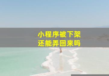 小程序被下架还能弄回来吗