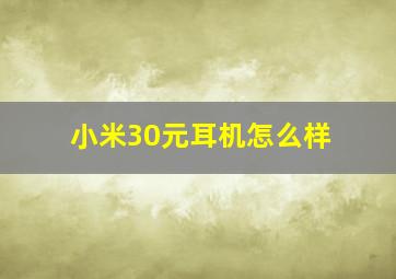 小米30元耳机怎么样