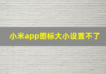 小米app图标大小设置不了