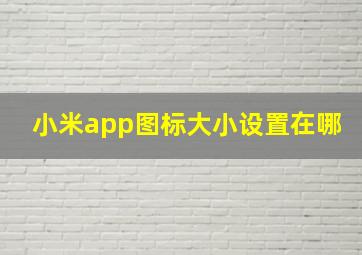 小米app图标大小设置在哪