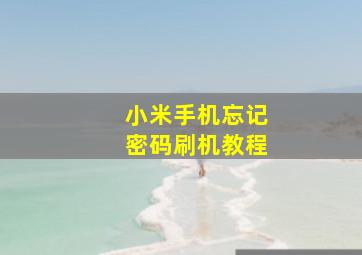 小米手机忘记密码刷机教程