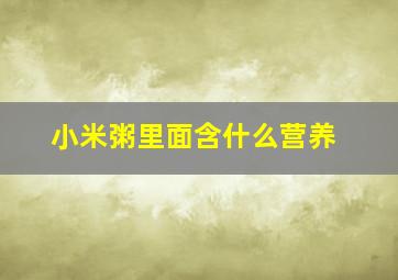 小米粥里面含什么营养