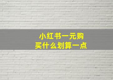 小红书一元购买什么划算一点