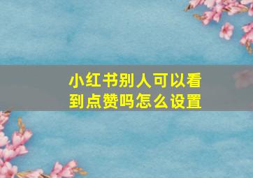 小红书别人可以看到点赞吗怎么设置