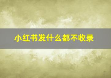 小红书发什么都不收录